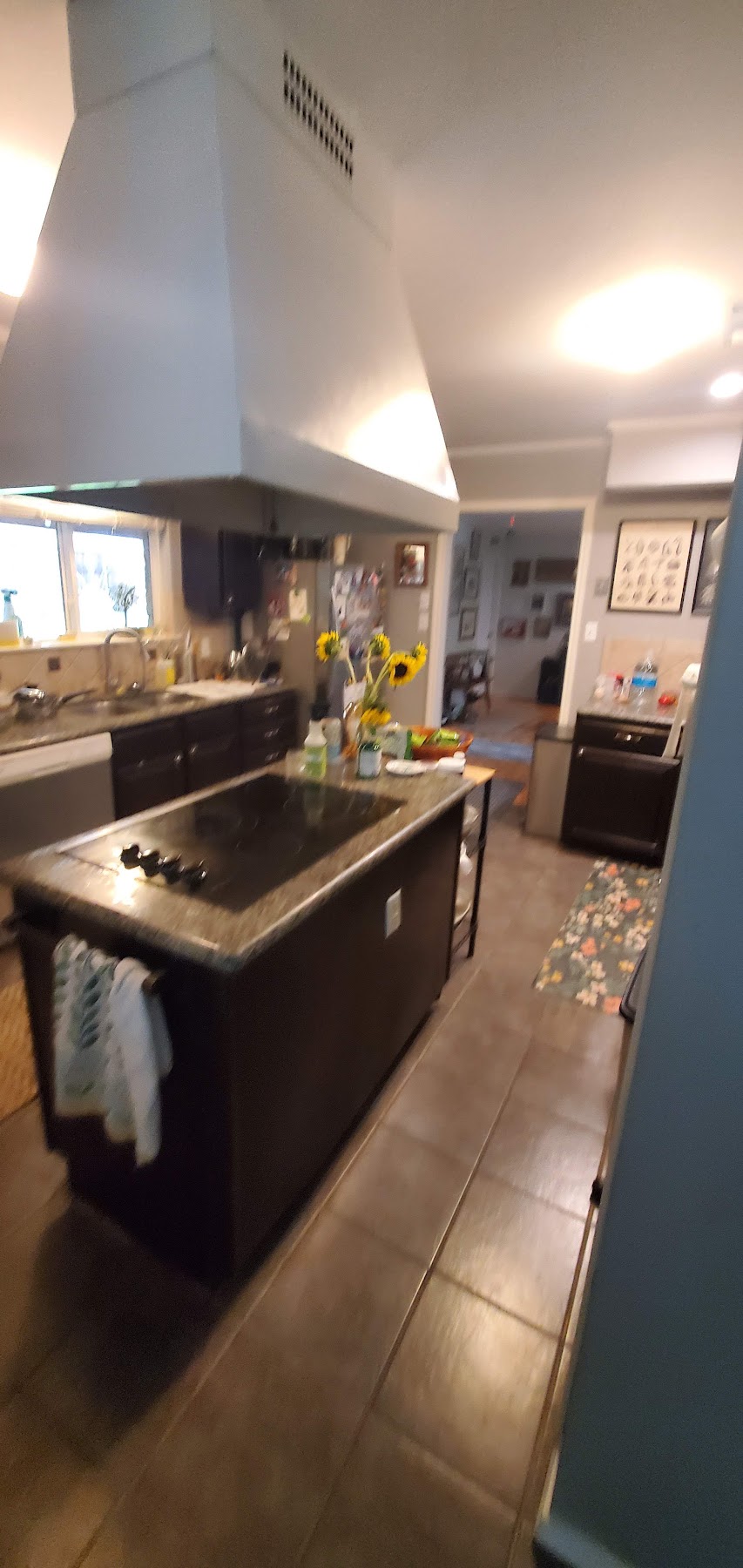 Kitchen renovation showing cabinetry and range hood details